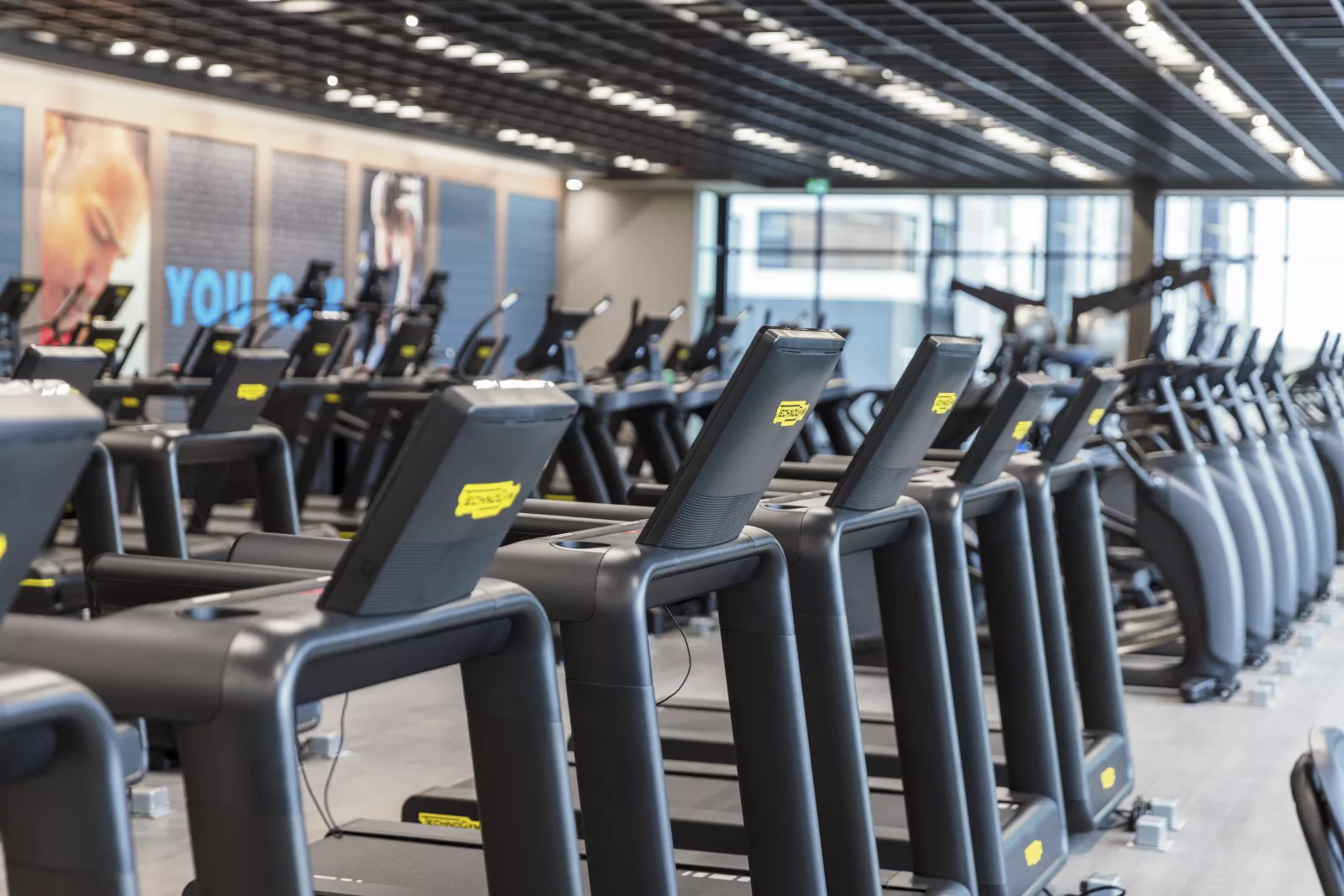 Row of treadmills in a gym, promoting the benefits of a treadmill workout for achieving fitness goals.